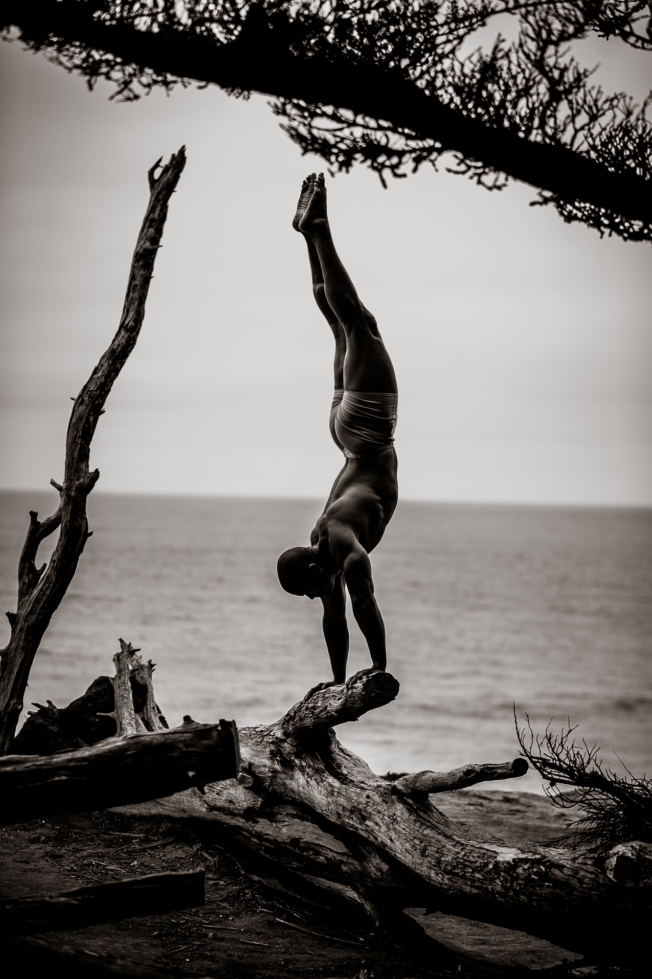 Handstand on driftwood by the sea